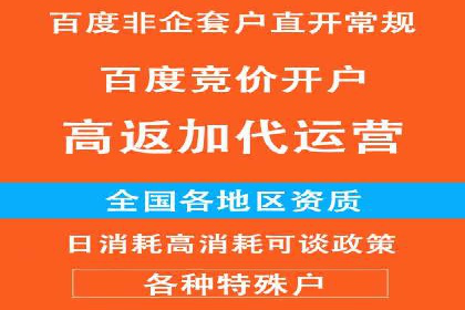 SEM托管公司案例：优化与增长